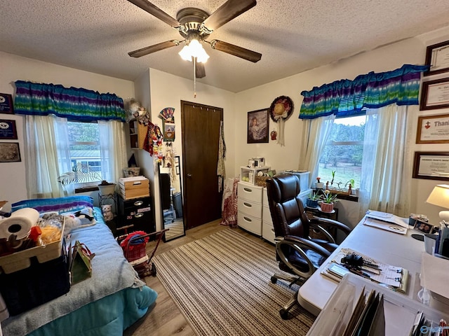 home office with ceiling fan, light wood-type flooring, and a textured ceiling