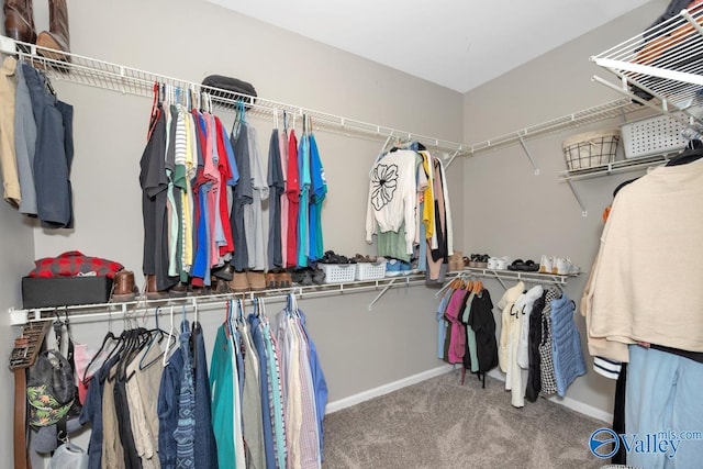 2609 Quarter Ln, Owens Cross Roads, AL 35763 - walk in closet with carpet flooring