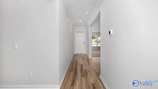 hall featuring crown molding and light hardwood / wood-style floors