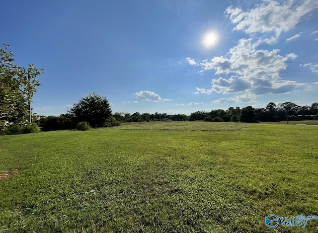 view of yard with a rural view