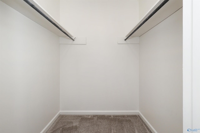 4018 SE Piedmont Dr, Huntsville, AL 35802 - walk in closet with carpet flooring