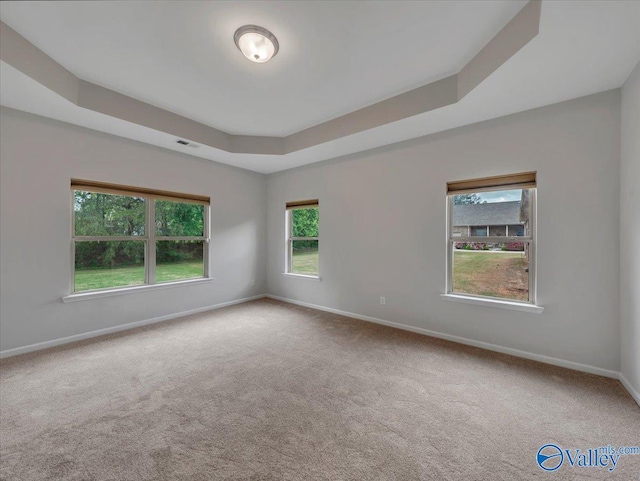27004 Mill Creek Dr, Athens, AL 35613 - carpeted empty room with baseboards, a raised ceiling, and visible vents