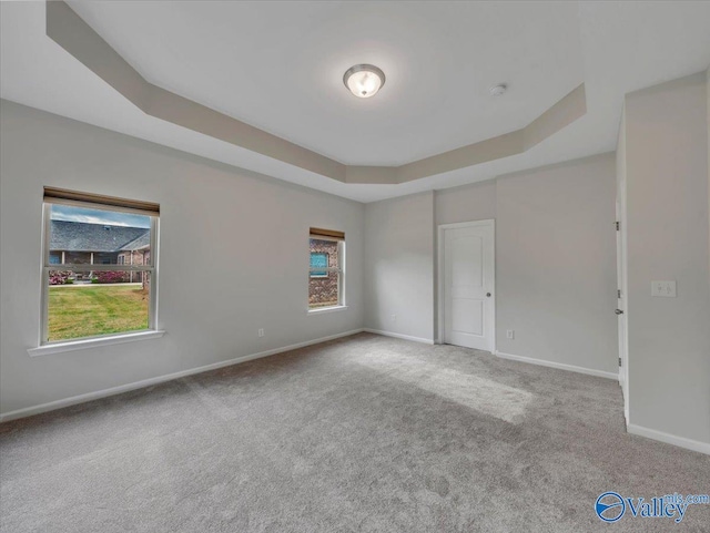 27004 Mill Creek Dr, Athens, AL 35613 - carpeted spare room featuring baseboards, a tray ceiling, and a wealth of natural light