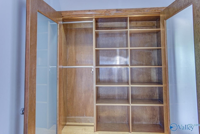 view of closet