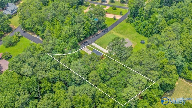 78 Bob Cir, Scottsboro, AL 35769 - aerial view
