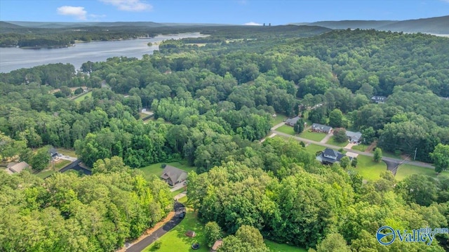 78 Bob Cir, Scottsboro, AL 35769 - aerial overview of property's location with a heavily wooded area and a nearby body of water