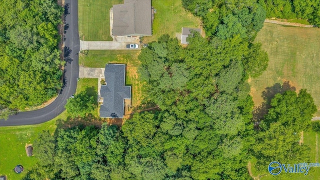 78 Bob Cir, Scottsboro, AL 35769 - aerial view