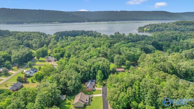 78 Bob Cir, Scottsboro, AL 35769 - aerial view of property's location featuring a forest and a nearby body of water