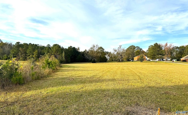 Listing photo 2 for 7ACRES Appalachian Hwy, Hokes Bluff AL 35903