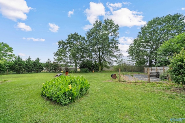 175 Short St, Geraldine, AL 35974 - view of yard