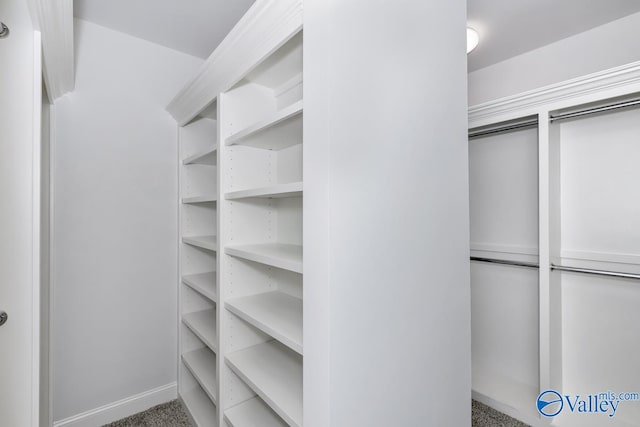 walk in closet featuring carpet