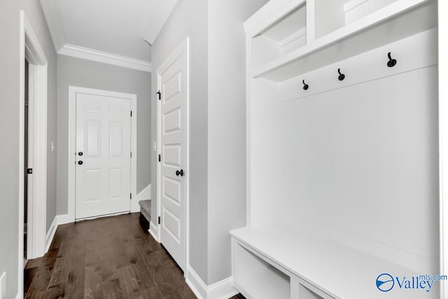 mudroom featuring dark wood-type flooring and ornamental molding