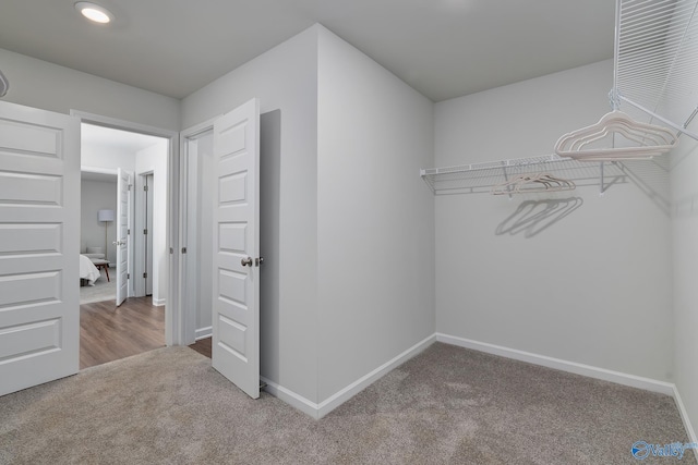 spacious closet with carpet