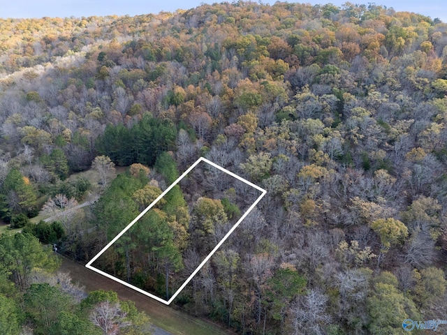 3ACRES Ashley Dr, Grant AL, 35747 land for sale