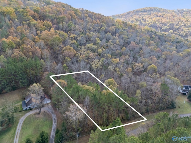 Listing photo 3 for 3ACRES Ashley Dr, Grant AL 35747