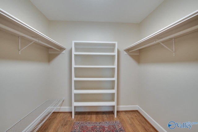 spacious closet with hardwood / wood-style floors