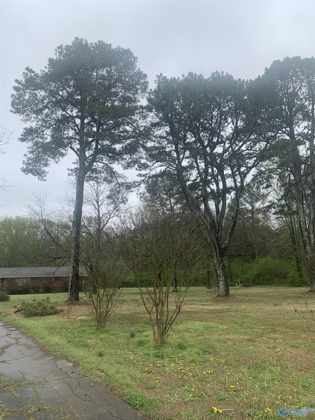 view of landscape