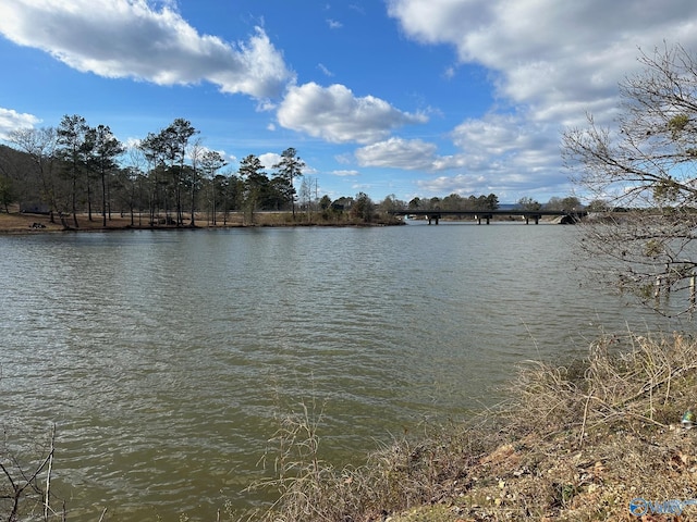 4.45ACRES Riddles Bend Rd, Rainbow City, AL 35906