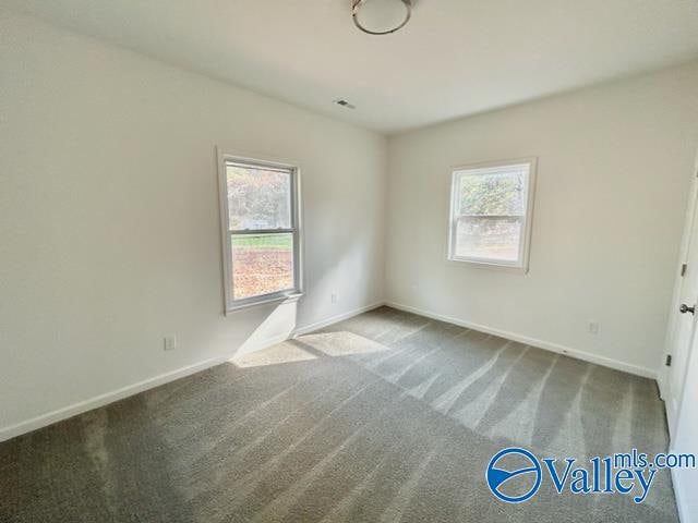 view of carpeted spare room