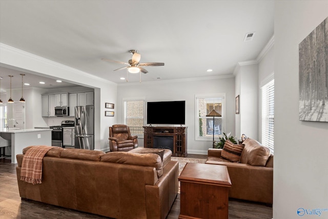 living room with ceiling fan, ornamental molding, sink, and dark wood-type flooring