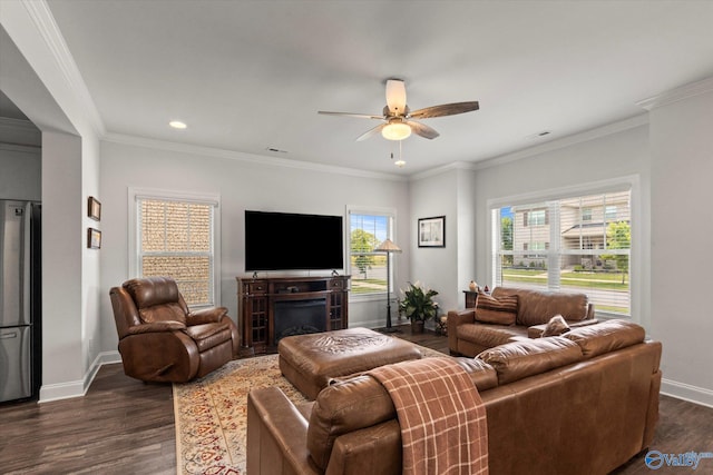 living room with ceiling fan, dark hardwood / wood-style floors, and crown molding