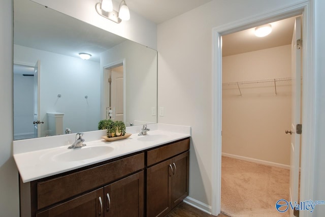 bathroom with vanity