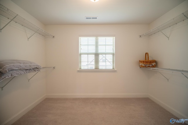 24337 Beacon Cir, Athens, AL 35613 - walk in closet featuring light colored carpet
