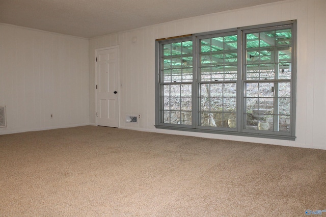 carpeted spare room with visible vents