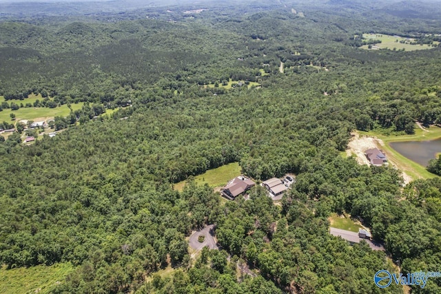 8879 County Road 27, Springville, AL 35146 - bird's eye view of a forest