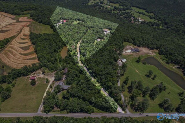 8879 County Road 27, Springville, AL 35146 - aerial view of property's location featuring a heavily wooded area