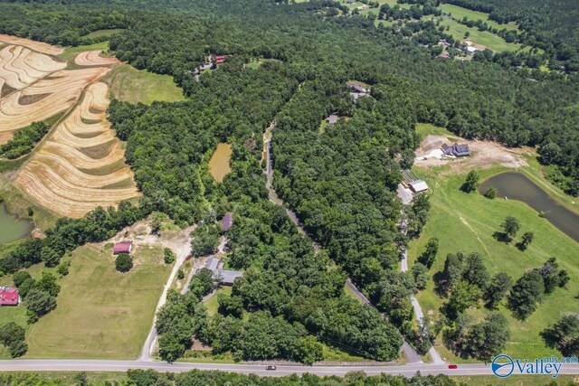 8879 County Road 27, Springville, AL 35146 - aerial view of property's location featuring a heavily wooded area and a nearby body of water