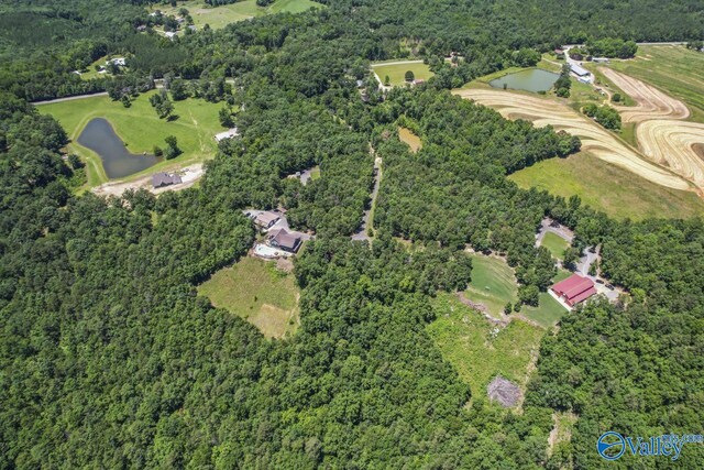 8879 County Road 27, Springville, AL 35146 - aerial view of property's location featuring a nearby body of water and a forest