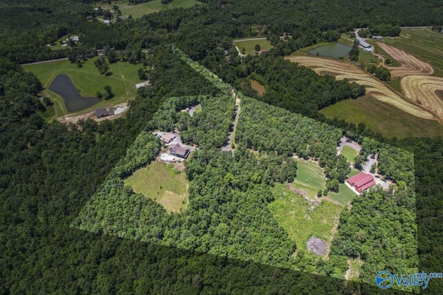 8879 County Road 27, Springville, AL 35146 - aerial overview of property's location with a nearby body of water and a heavily wooded area