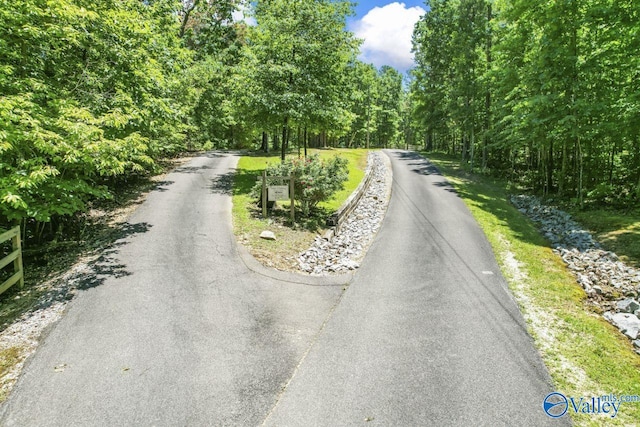 8879 County Road 27, Springville, AL 35146 - view of asphalt street