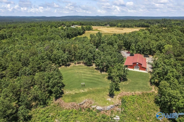 8879 County Road 27, Springville, AL 35146 - bird's eye view of a forest