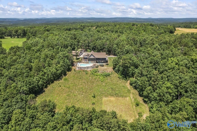 8879 County Road 27, Springville, AL 35146 - aerial view of property and surrounding area featuring a forest
