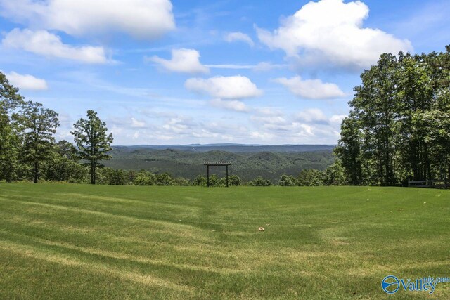 8879 County Road 27, Springville, AL 35146 - view of mountain background