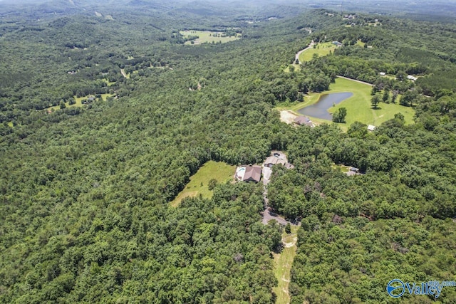 8879 County Road 27, Springville, AL 35146 - aerial overview of property's location with a forest and a nearby body of water