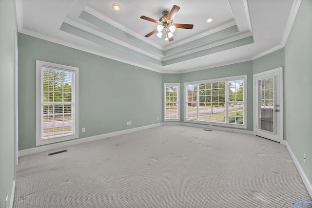 carpeted empty room with a tray ceiling, ornamental molding, and a healthy amount of sunlight