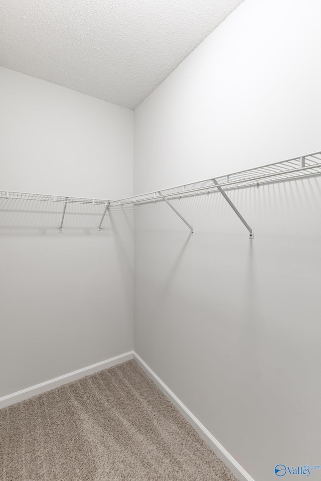 spacious closet with carpet flooring