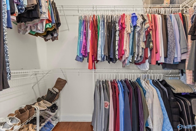 spacious closet featuring wood finished floors