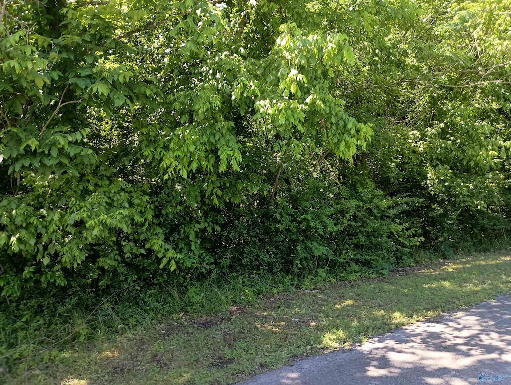 405 Hammond Ave, Attalla, AL 35954
