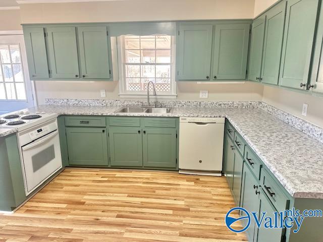 kitchen with green cabinets, white appliances, light wood-type flooring, and a sink