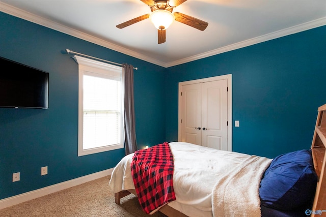 carpeted bedroom with crown molding, ceiling fan, and a closet