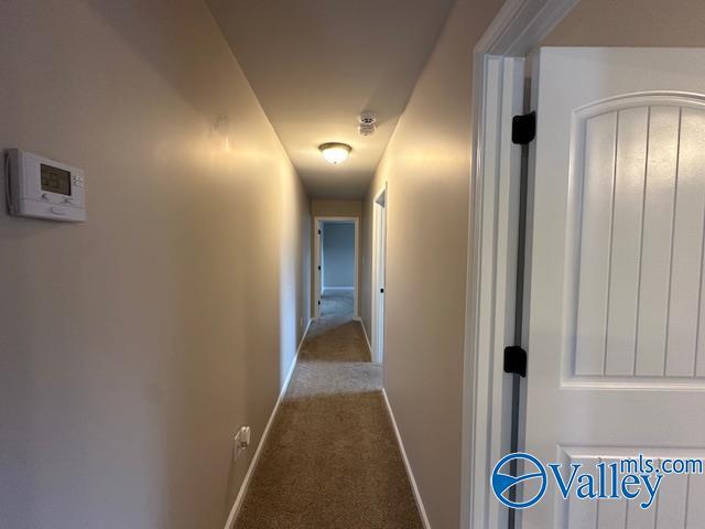 134 Winstead Cir, Owens Cross Roads, AL 35763 - hall featuring baseboards and carpet flooring