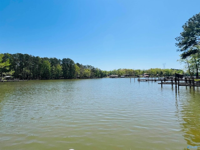 Listing photo 3 for 1210 County Road 131, Cedar Bluff AL 35959