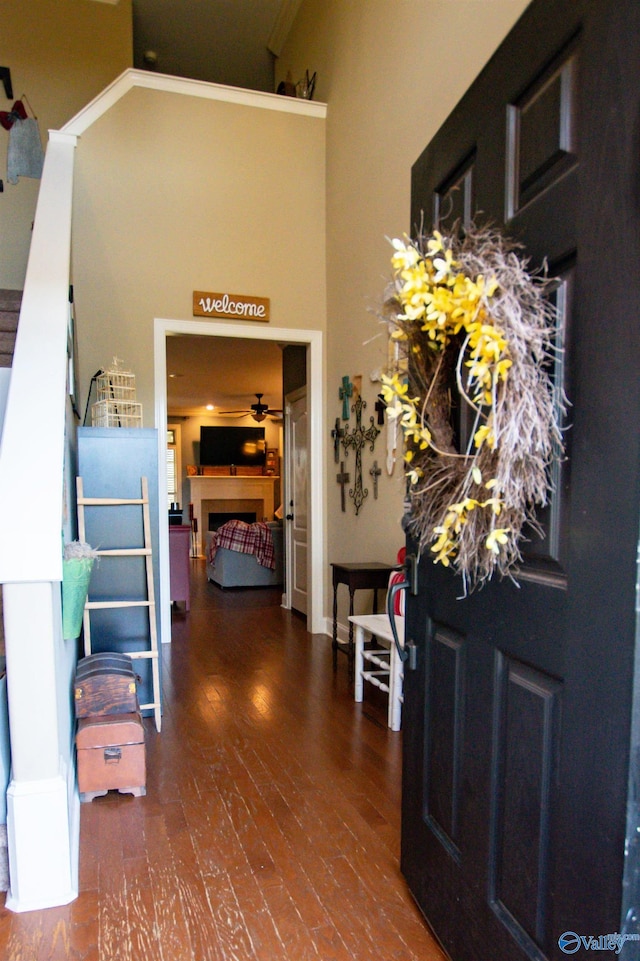 interior space featuring dark hardwood / wood-style floors and a towering ceiling