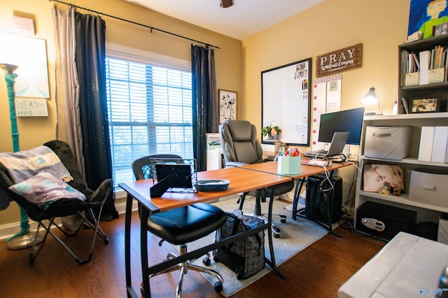 office space featuring dark hardwood / wood-style flooring