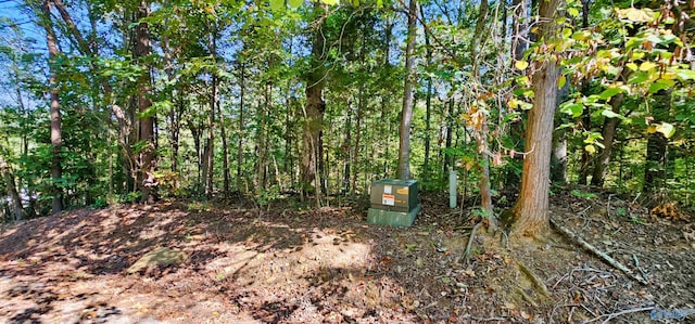 Listing photo 3 for 2LOTS Trail Ridge Rd, Scottsboro AL 35769