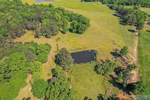 1657 Hamm Rd, Blountsville, AL 35031